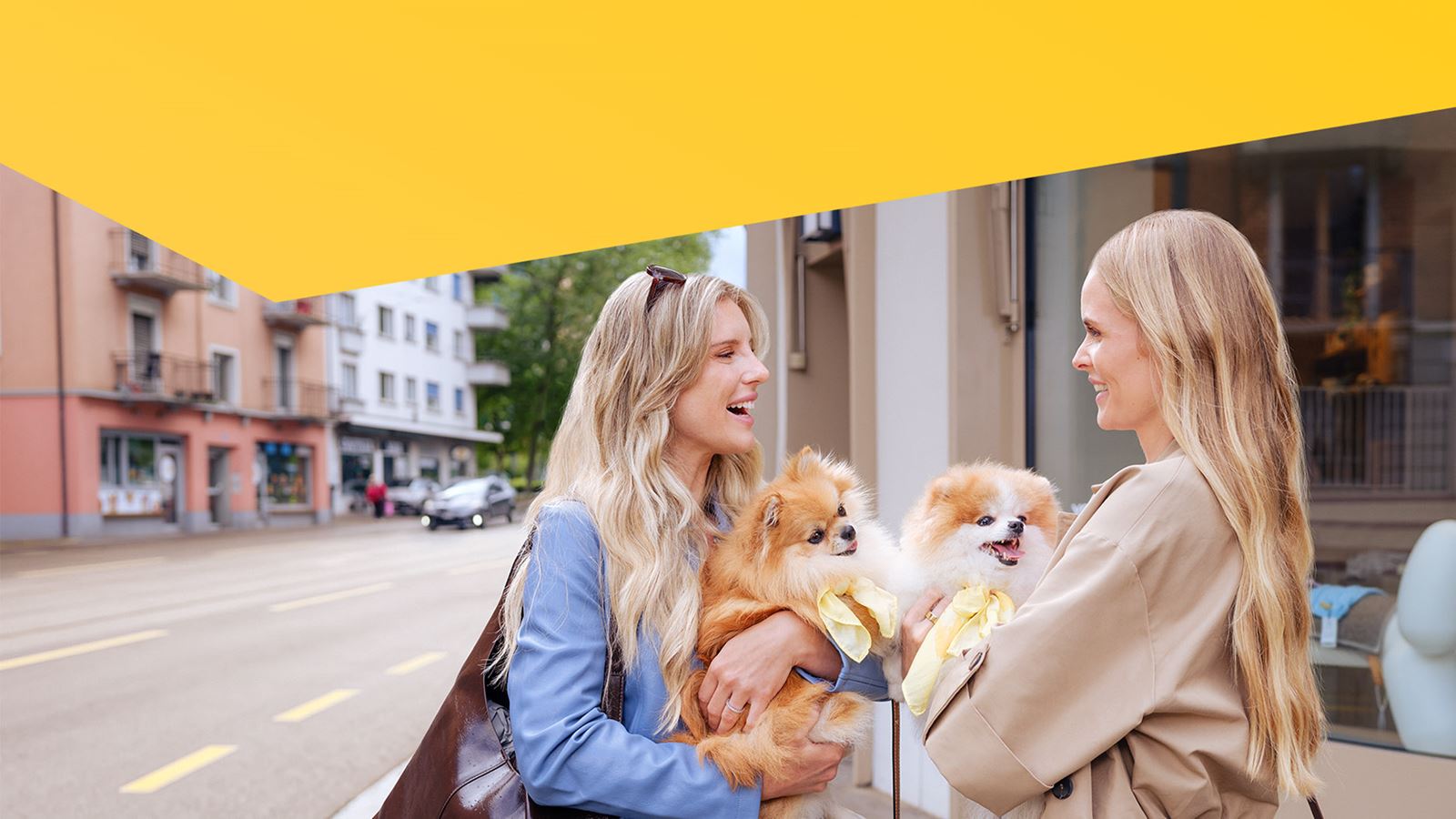 Two women talking to dogs in their arms